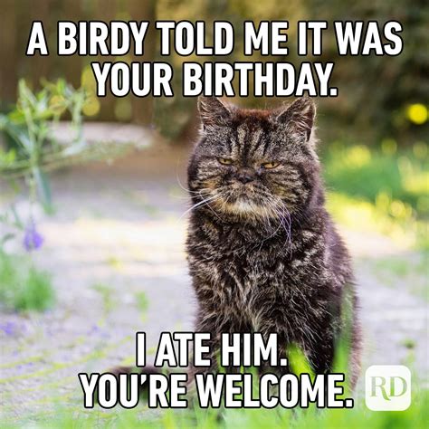 Birthday meme funny for him - 13) Celebrate your 60th birthday with memes and cake! “Happy birthday gorgeous! May your birthday cake be moist!” 14) “Happy 60th birthday. 60 is just 40 with 20 years of life-changing, mood-altering, mind-blowing, soul-shifting, perspective-modifying, death-defying experience.” 15) 60th birthday memes when turning 60 is the GOAT.